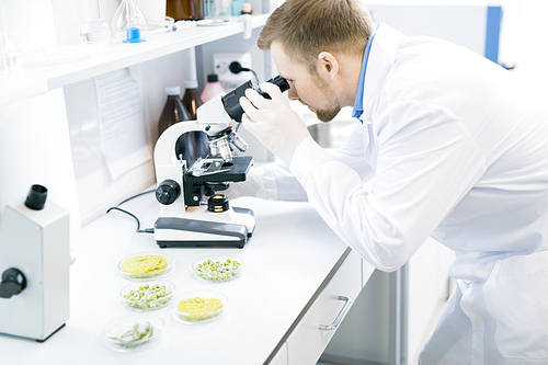 Crop side view of male microbiologist in laboratory coat looking attentively through eyepiece of microscope with food nutrition test object on it