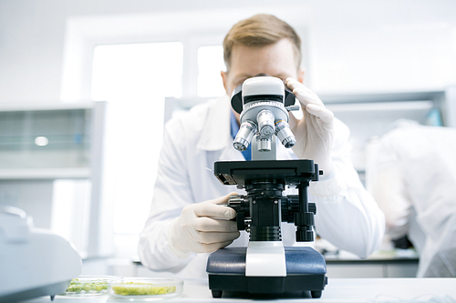 Male scientist studying green vegetables under microscope standing at desk with white laboratory and microbiologist on blurred background