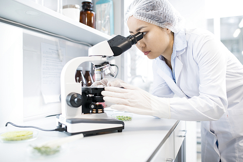 Side view portrait of Asian female scientist looking in microscope while doing research in medical laboratory