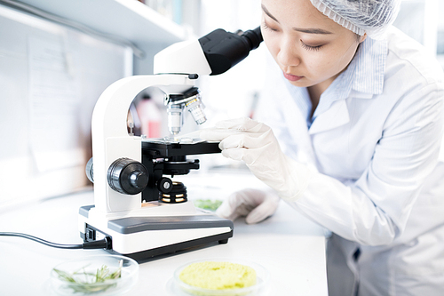 Side view portrait of Asian female scientist using microscope while doing research in medical laboratory
