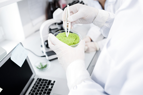 Close up of unrecognizable scientist examining substances in research laboratory, copy  space