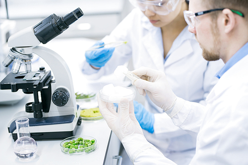Crop side view of scientists in glasses sitting at laboratory desk with flasks and microscope and analyzing samples of green vegetables in Petri dishes