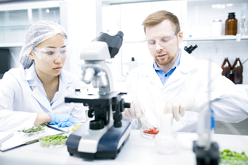 Portrait of two modern young scientists doing research studying food substances in laboratory, copy space