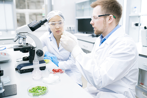 Crop view of microbiologists in laboratory coats and glasses sitting at white table with microscope and looking excitedly at sample of meat in pincers held by man.