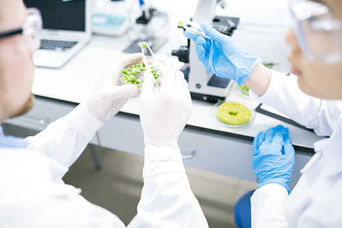 Close up of two unrecognizable scientists studying substances while working on research in medical laboratory, copy space