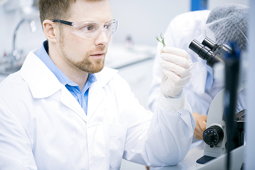 Portrait of young scientist doing biochemical research while studying plants in laboratory