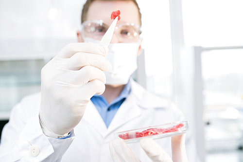 Crop close-up view of male microbiologist in laboratory coat and protective mask and glasses looking excitedly at pincers with sample of meat taken from Petri dish in hand.