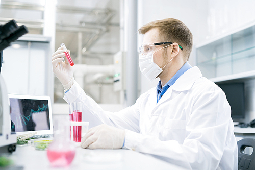 Side view of male microbiologist sitting in protective mask and glasses at desk and holding tube with pink solution of meat analyzing its nutrition properties