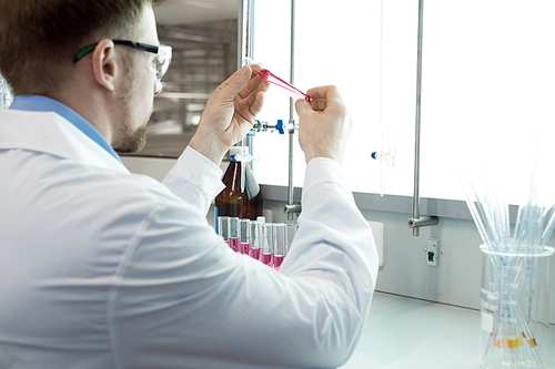 Back view portrait of  modern scientist working on research studying liquids in beaker while sitting at table in laboratory