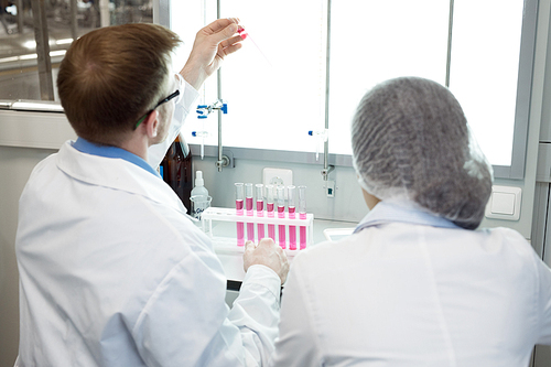 Back view of man and woman in laboratory coats sitting at desk and looking attentively at tube with pink solution being tested and analyzed as part of food nutrition research.
