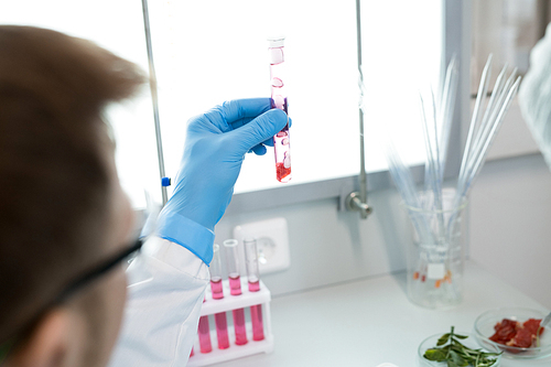 Close up of unrecognizable scientist holding test tube  with pink liquid while doing research in laboratory