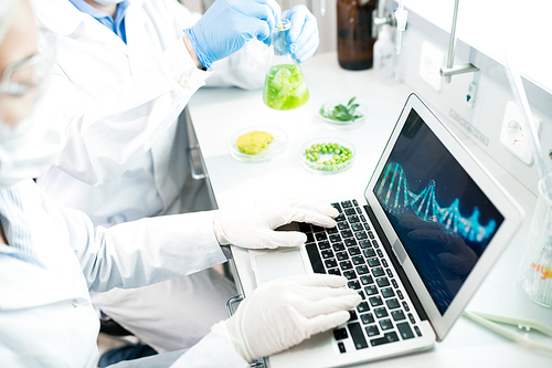 Crop view of microbiologists in laboratory clothes sitting at desk with samples of green vegetables and flask with solution and studying model of DNA of analyzed object on laptop.