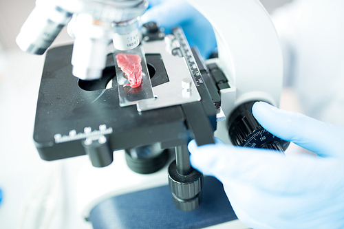 Side view closeup of modern young scientist looking in microscope while doing research on meat in medical laboratory