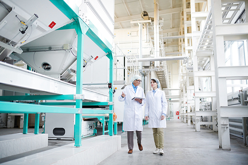 Full length portrait of senior factory worker walking with trainee across production hall at food factory, copy space