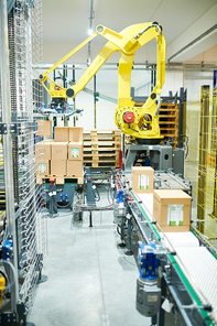 Interior of plant warehouse: industrial picking robot at work, cardboard boxes on conveyor belt, no people