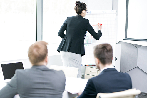 Back view portrait of young businesswoman wearing glasses  writing on  whiteboard and explaining marketing strategy  during meeting in conference room, copy space