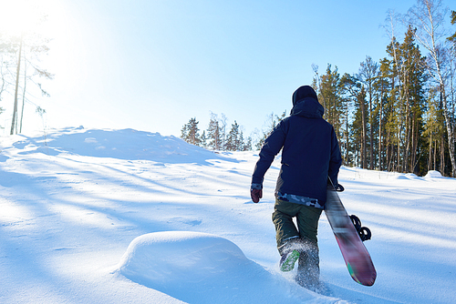 Back view of young snowboarder running up snowy hill to go freestyle riding on wild path in the woods, copy space