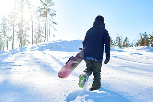 Full length portrait of young snowboarder running up snowy hill to go freestyle riding on wild path in the woods, copy space