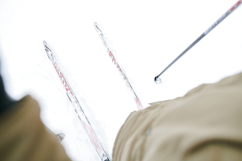 Point of view of man looking down at skis while enjoying walk in winter forest, copy space