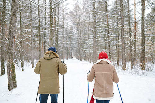 Back view portrait of active young couple enjoying skiing in beautiful winter forest, copy space