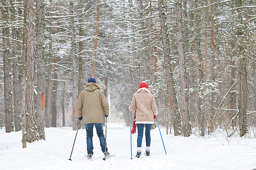 Full length back view portrait of active young couple enjoying skiing in beautiful winter forest, copy space