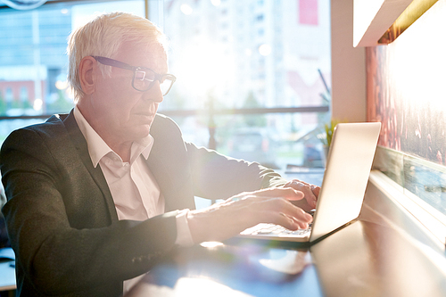 Side view portrait of modern  senior businessman using laptop while sitting at bar counter in cafe lit by sunlight, copy pace