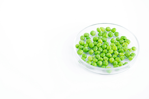 Above view  shot  of green peas in petri dish, isolated on white, biochemical lab concept