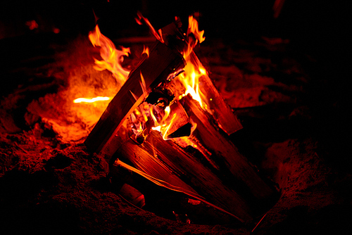 Close-up of burning firewood logs in campfire placed on sand outdoors at night
