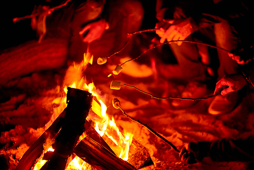 Close-up of unrecognizable tourists enjoying camping and roasting marshmallows on campfire at night