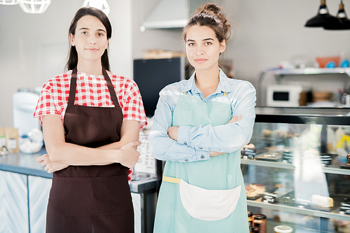 Portrait  of two female shopkeepers posing confidently standing with arms crossed and , copy space