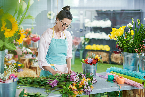 Waist up portrait of young woman wearing apron lovingly arranging bouquets while working at counter in flower shop, copy space