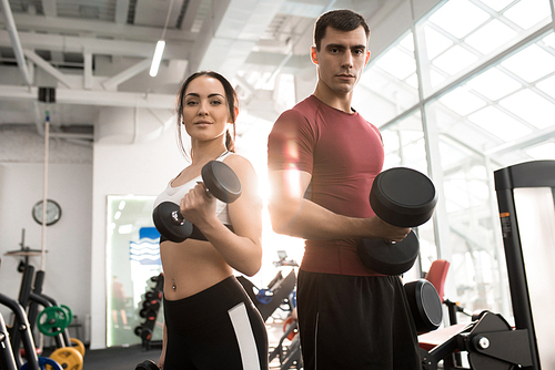 Waist up portrait of fit sportive couple posing with dumbbells  in modern gym