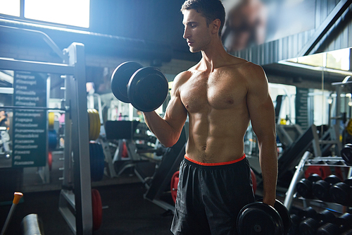 Motivational portrait of sexy muscular man with bare chest posing with dumbbells in dim gym, copy space