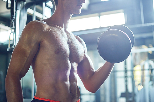 Profile view of sweaty muscular man building biceps with dumbbells while having intensive training at spacious gym, blurred background