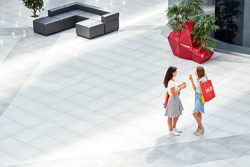 High angle of two beautiful girls in hall of shopping mall, chatting happily holding paper bags, copy space