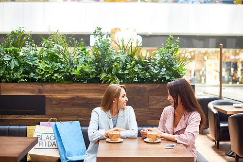 Portrait of two beautiful young women in shopping mall chatting and  drinking coffee at cafe table surrounded by paper bags on Black Friday