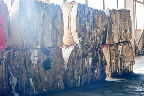 Packs of bind cardboard stacks in industrial warehouse of modern waste processing plant, copy space