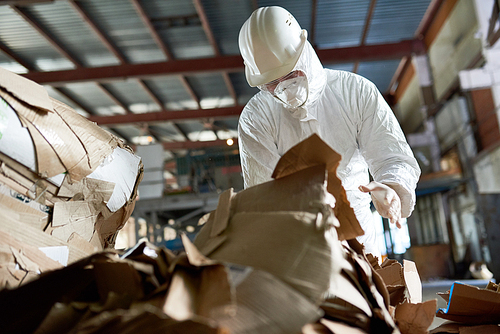 Portrait of  factory worker wearing biohazard suit sorting reusable cardboard on recycling plant, copy space