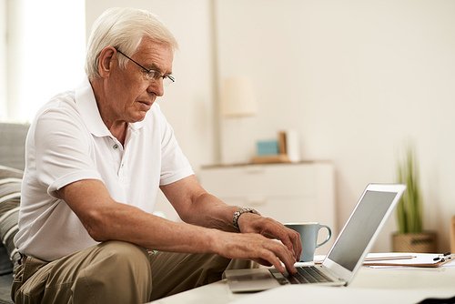 Side view portrait of modern senior man using laptop, working at home