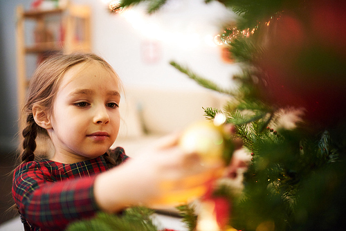Head and shoulder portrait of pretty little girl wearing tartan dress decorating bushy Christmas tree at modern living room