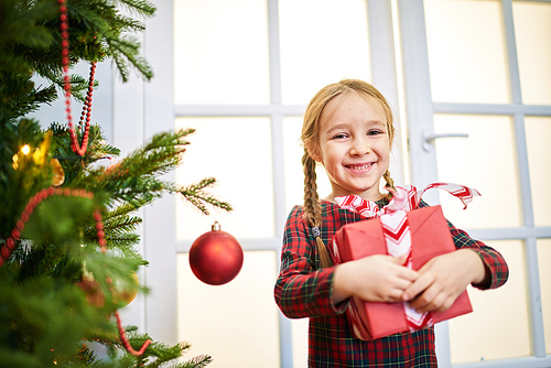 Waist-up portrait of adorable little girl wearing tartan dress  with toothy smile while holding Christmas present in hands