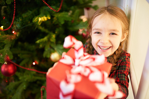High angle view of cheerful little girl  with toothy smile while holding Christmas gift box in hands, decorated fir tree on background