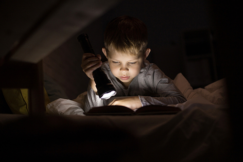 Portrait of cute little boy reading in bed with flashlight in dark room, enjoying fairytales