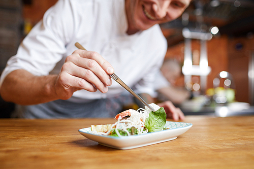 Closeup of professional chef plating Asian dish in restaurant kitchen, copy space