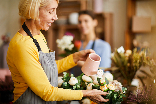 Side view portrait of smiling florist watering beautiful white roses in flower shop, copy space