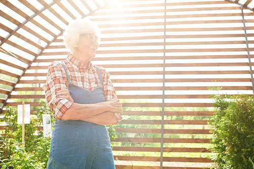 Portrait of happy senior woman posing in garden standing with arms crossed against sunlight, copy space