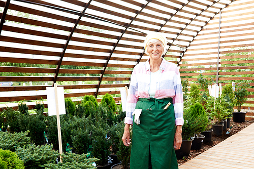 Portrait of cheerful senior gardener  while posing in plantation next to various potted plants, copy space