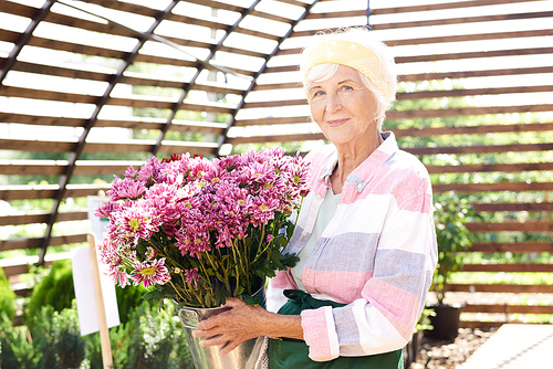 Waist up portrait of happy senior woman  while posing with flowers in garden lit by sunlight