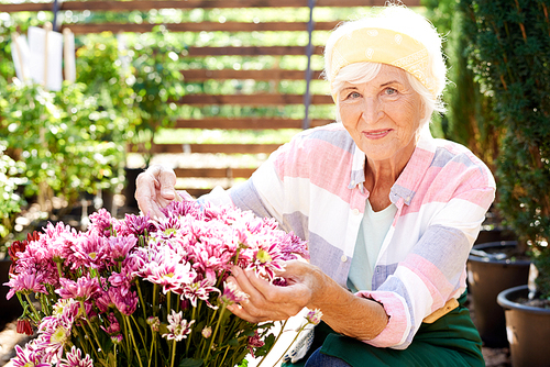 Portrait of happy senior woman  while posing with flowers in garden lit by sunlight