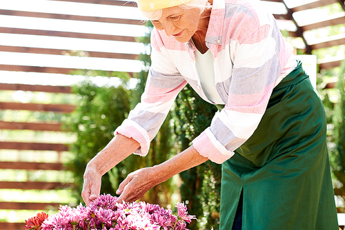 Portrait of happy senior woman caring for flowers in garden lit by sunlight outdoors, copy space
